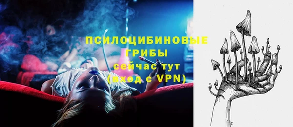Альфа ПВП Алзамай
