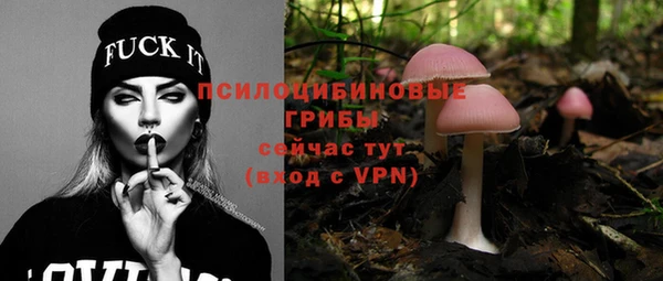 Альфа ПВП Алзамай