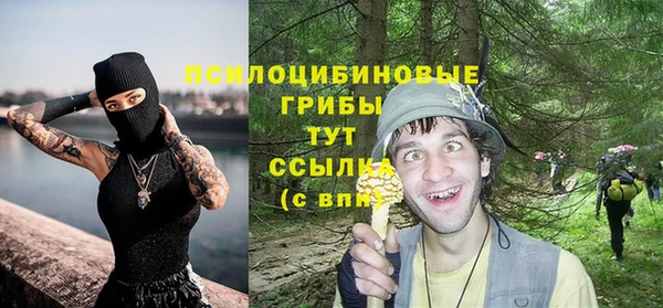 2c-b Алексеевка