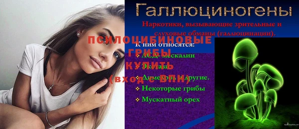 Альфа ПВП Алзамай