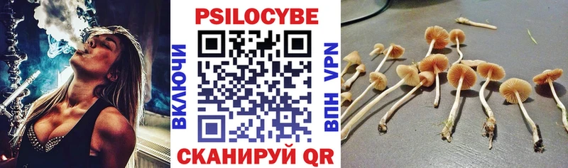 Псилоцибиновые грибы мицелий  Юрьевец 