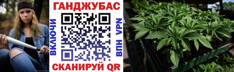 мориарти состав Юрьевец Марихуана White Widow